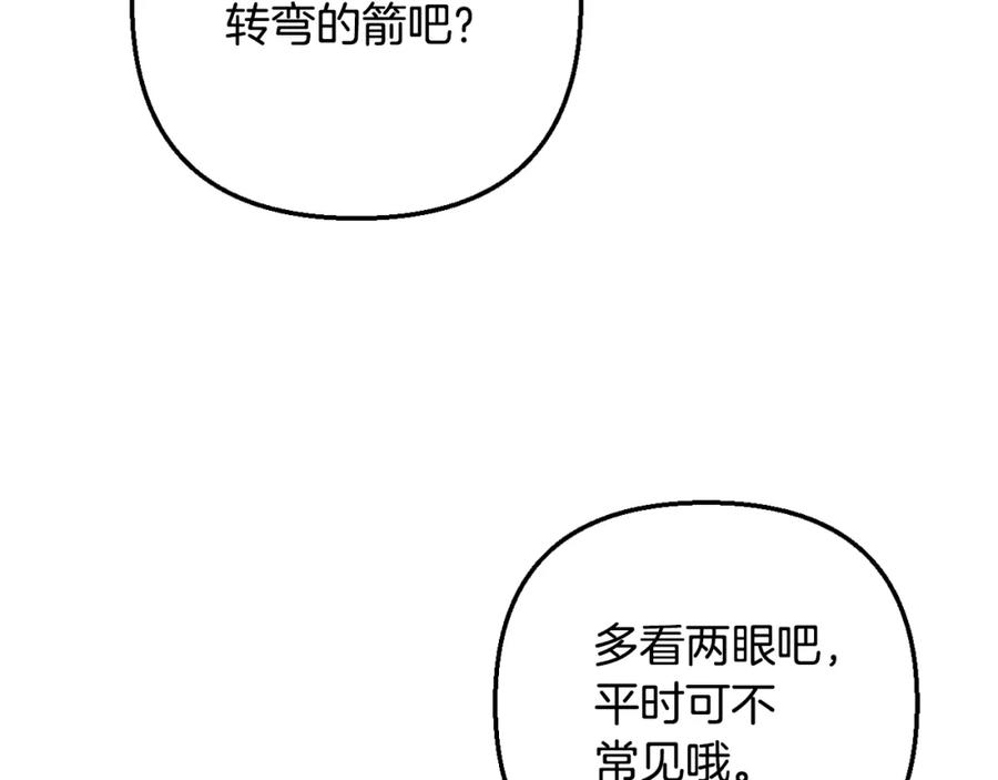 66.jpg