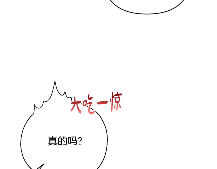 123.jpg