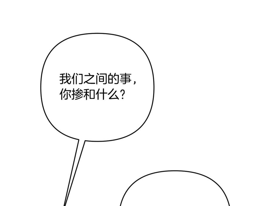 146.jpg