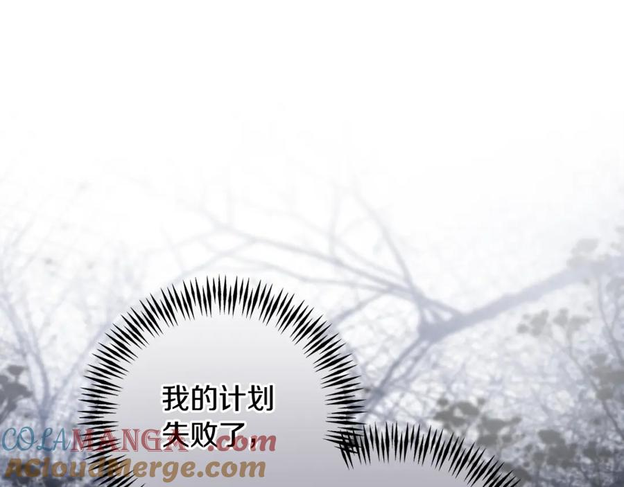 233.jpg