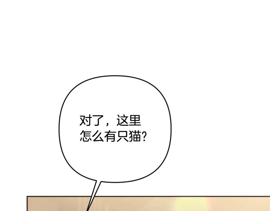 115.jpg