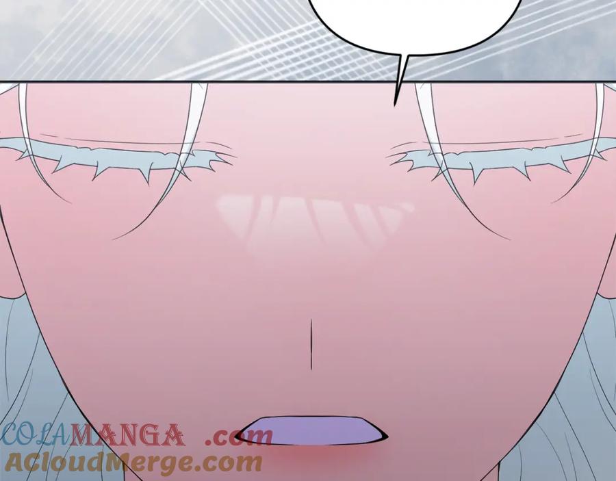 233.jpg