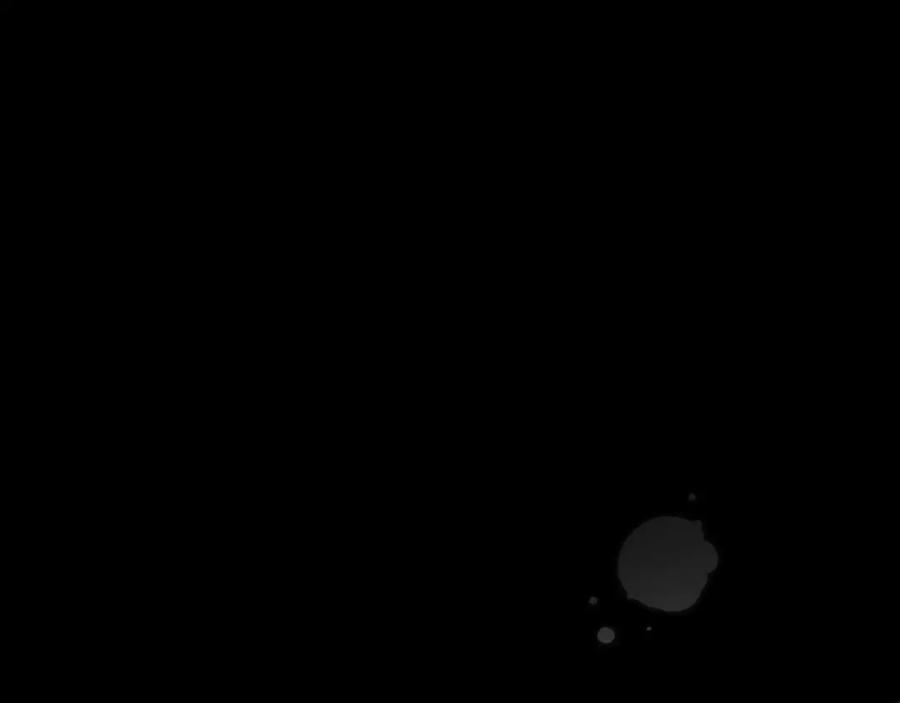 164.jpg