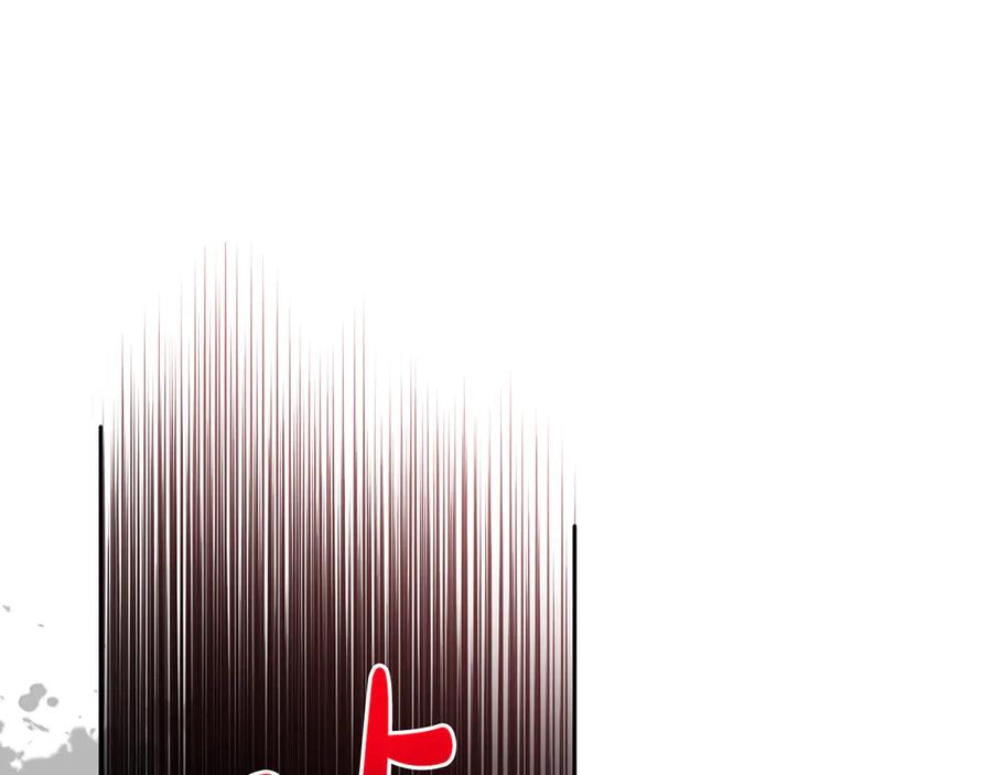 164.jpg