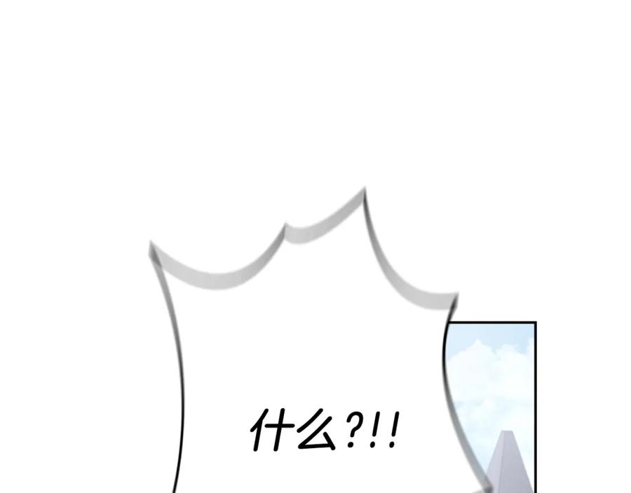 163.jpg