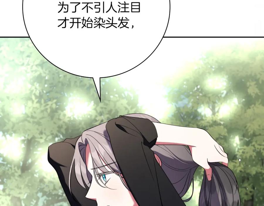 223.jpg