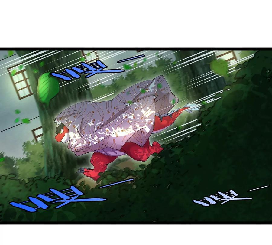 47.jpg