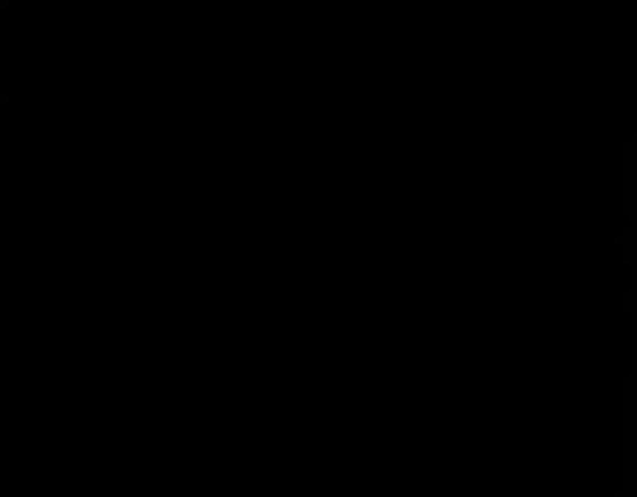54.jpg