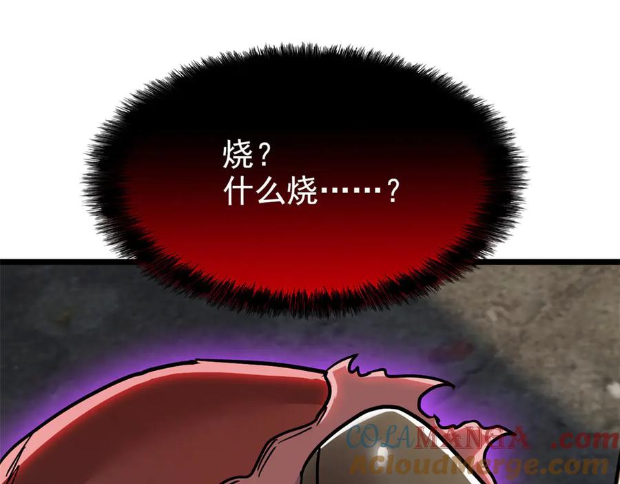 105.jpg
