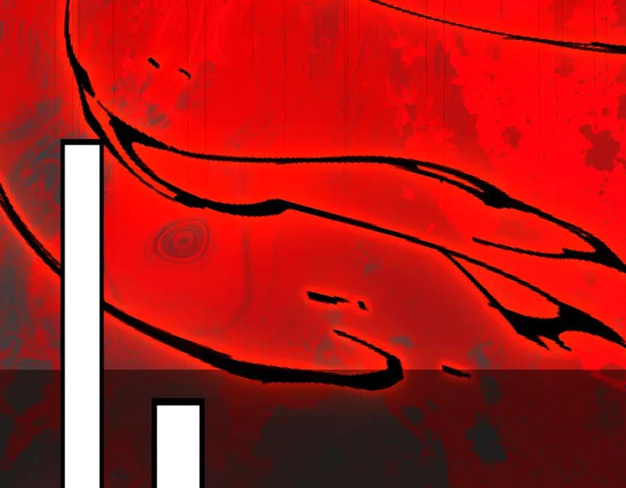 255.jpg