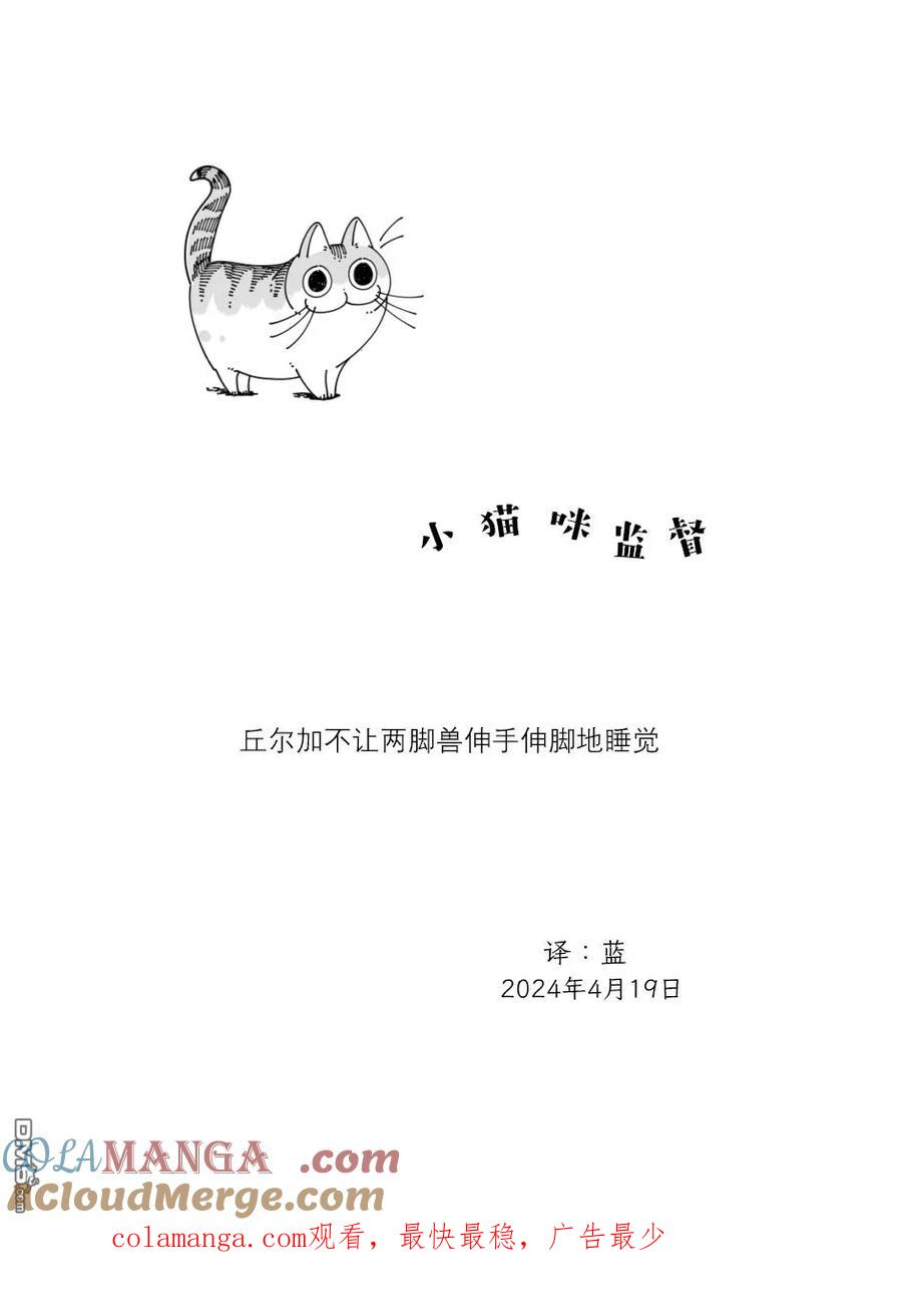 第223话-关于养猫我一直是新手-キュルZ（第3张）