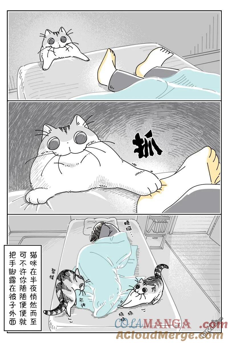 第223话-关于养猫我一直是新手-キュルZ（第2张）
