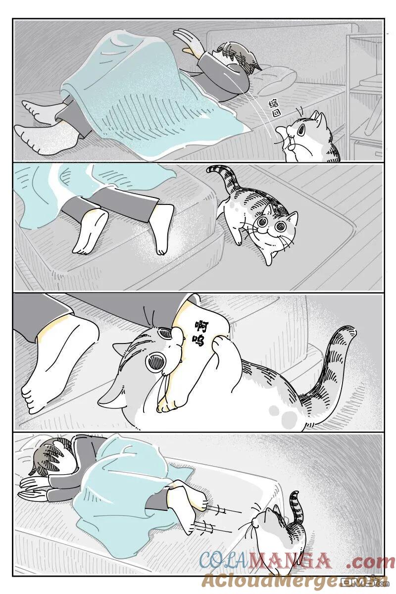 第223话-关于养猫我一直是新手-キュルZ（第1张）