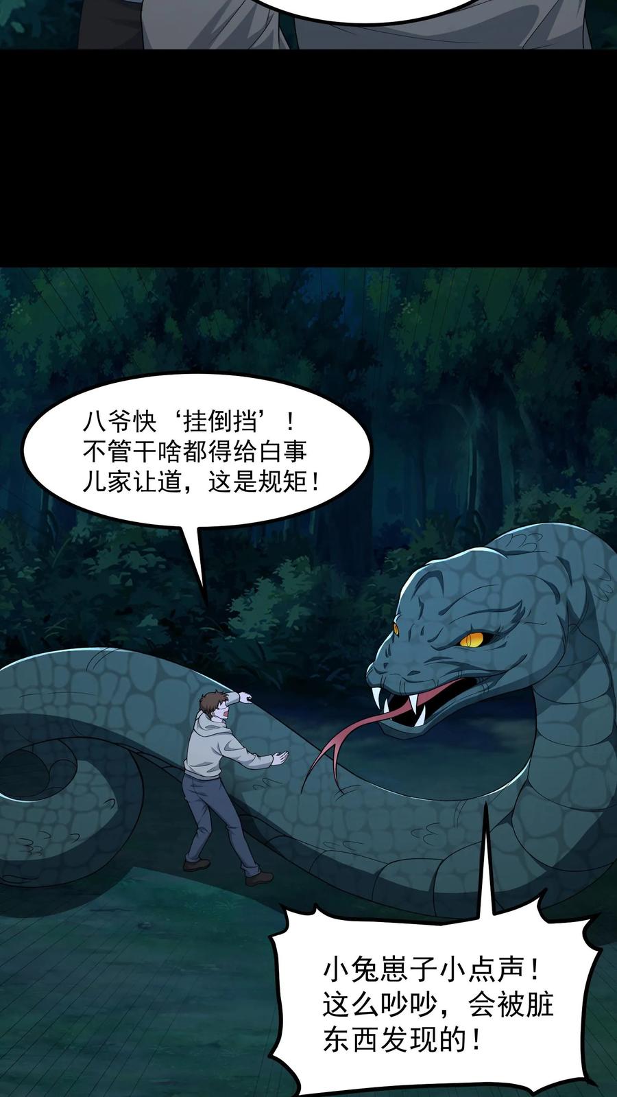 第334话鬼出殡-我出生当天，百鬼夜行，雪尸护道-[db:作者]（第14张）