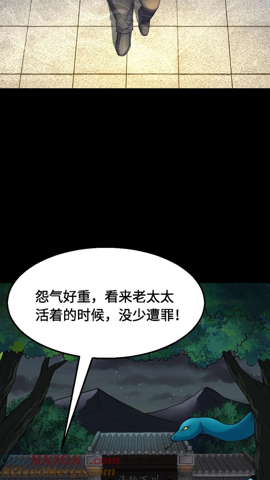 第339话猫脸老太太的复仇-我出生当天，百鬼夜行，雪尸护道-（第7张）
