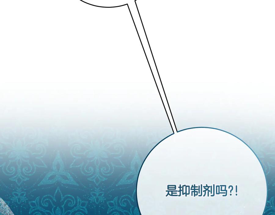 206.jpg