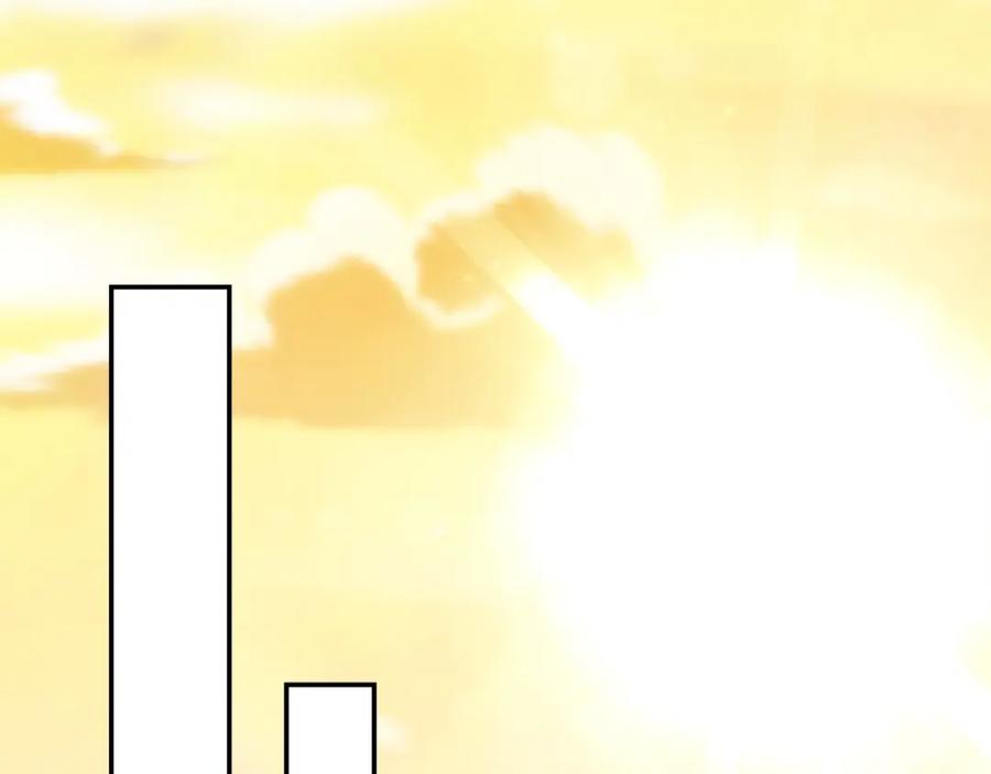 233.jpg