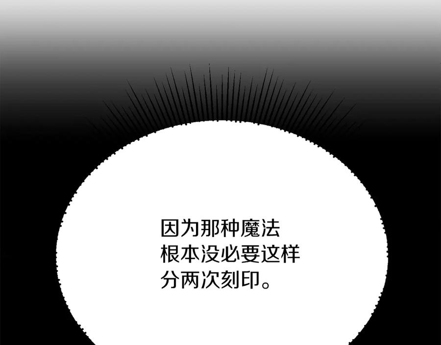 244.jpg