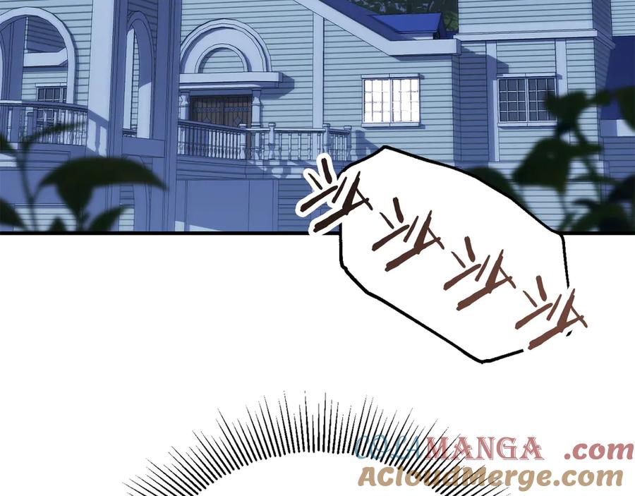 233.jpg