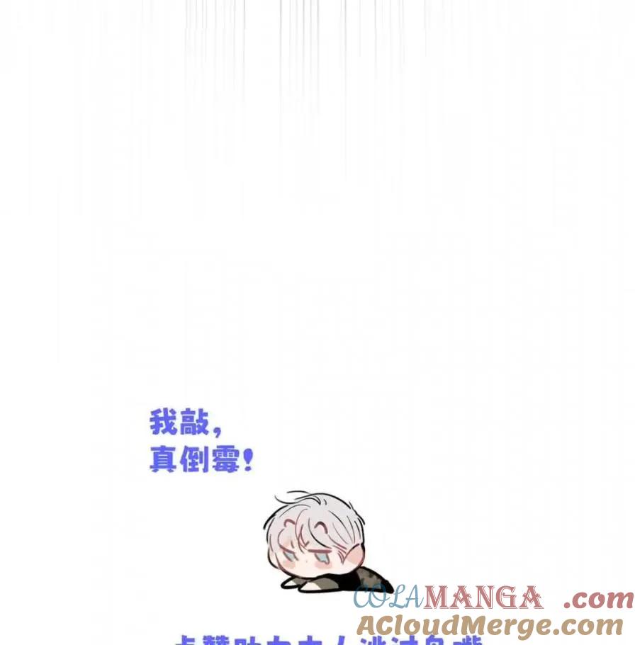 79.jpg
