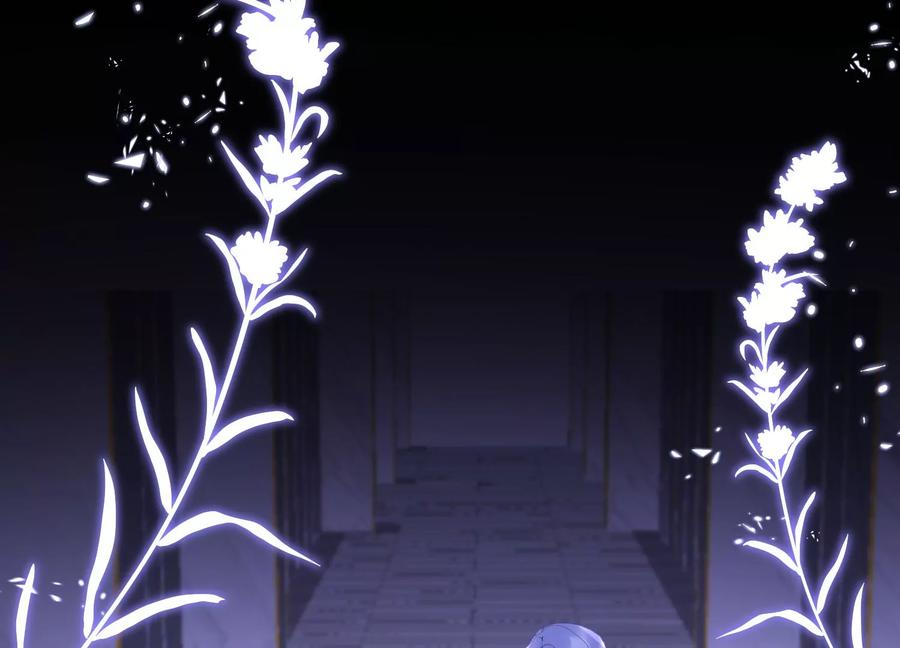 第41话自毁前程-闪耀吧！钻石少女！-爱奇艺漫画（第14张）