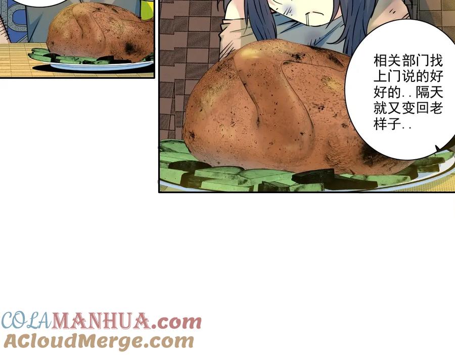 16.jpg