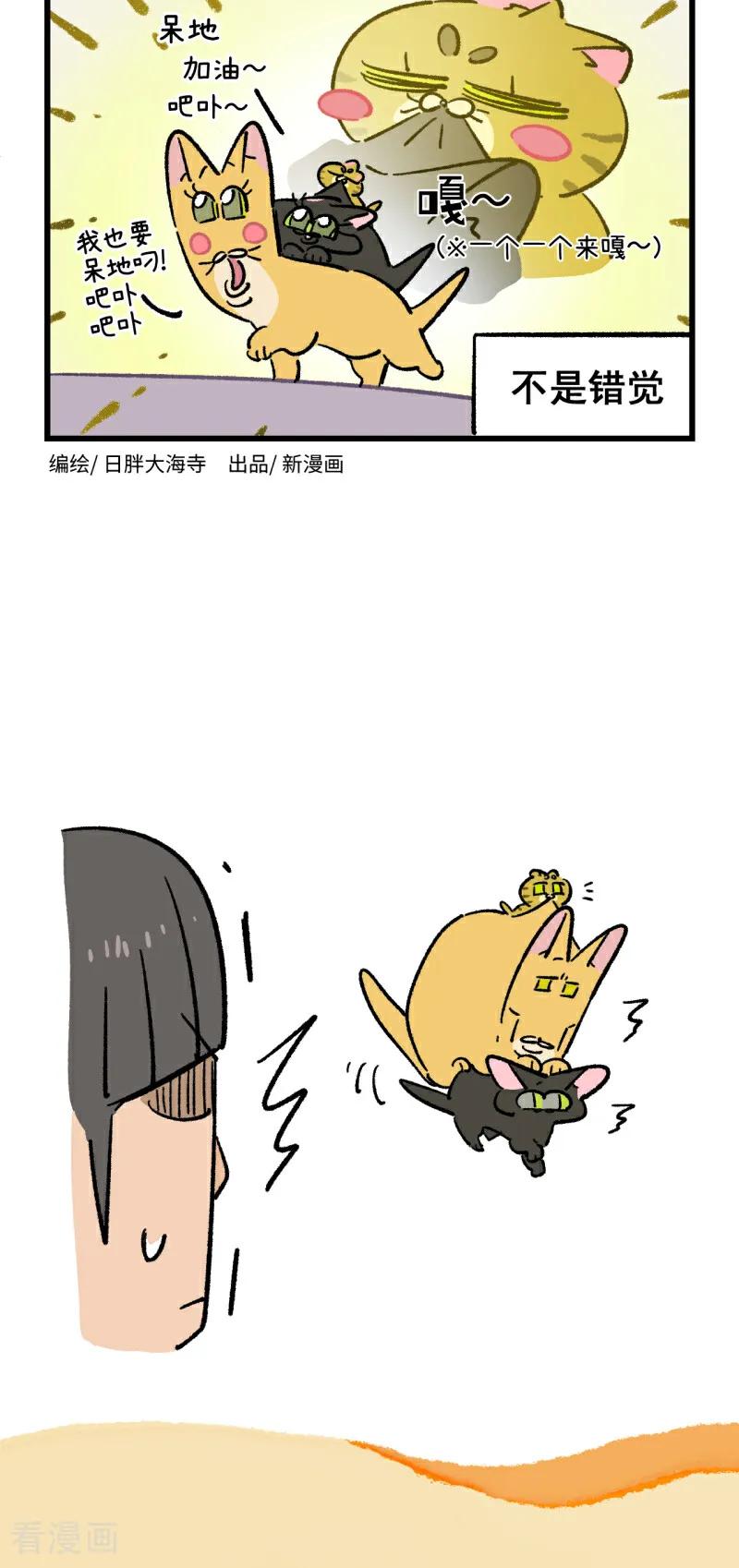 第230话-阿满和麦茶-新漫画 日胖大海寺（第12张）