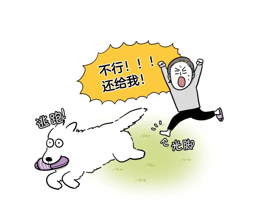 序章我有一只萨摩耶-我的狗子叫棉花-milo+Polarfox（第9张）