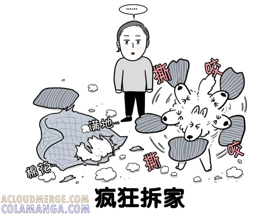 序章我有一只萨摩耶-我的狗子叫棉花-milo+Polarfox（第8张）