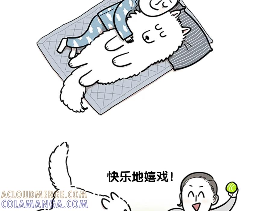 序章我有一只萨摩耶-我的狗子叫棉花-milo+Polarfox（第4张）