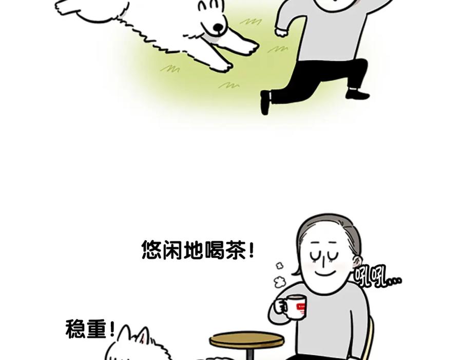 序章我有一只萨摩耶-我的狗子叫棉花-milo+Polarfox（第5张）