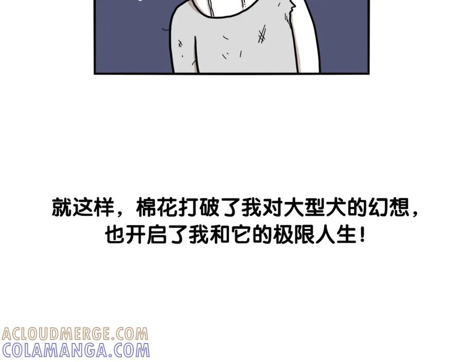 序章我有一只萨摩耶-我的狗子叫棉花-milo+Polarfox（第12张）