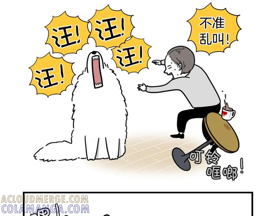 序章我有一只萨摩耶-我的狗子叫棉花-milo+Polarfox（第10张）