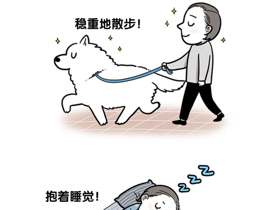 序章我有一只萨摩耶-我的狗子叫棉花-milo+Polarfox（第3张）