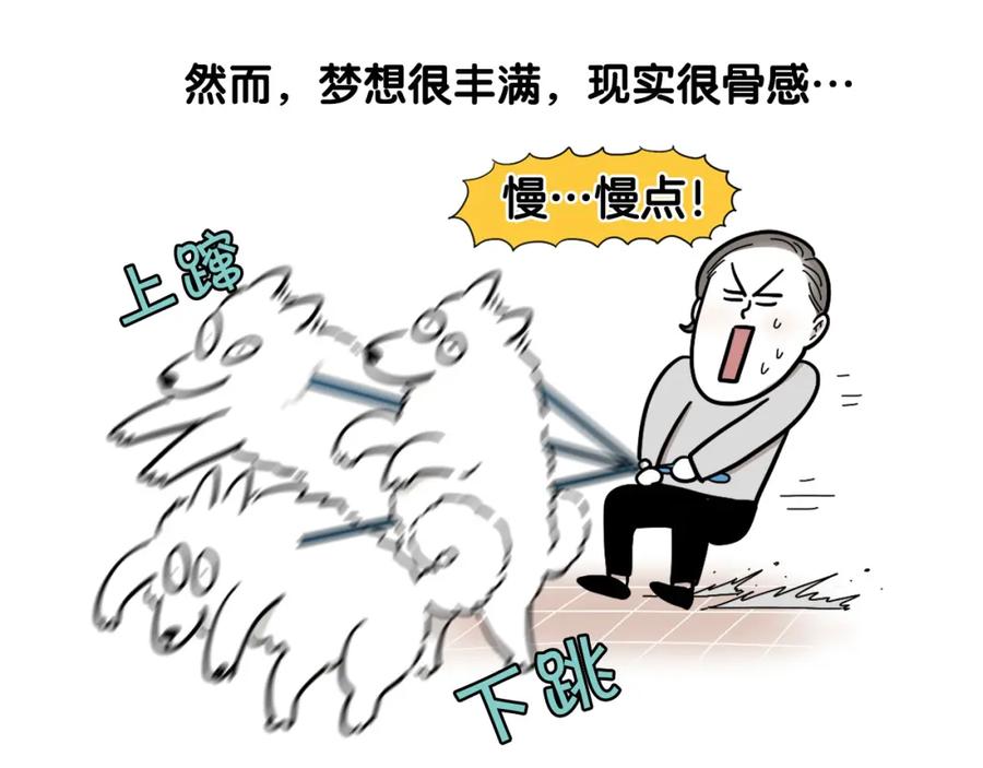 序章我有一只萨摩耶-我的狗子叫棉花-milo+Polarfox（第7张）