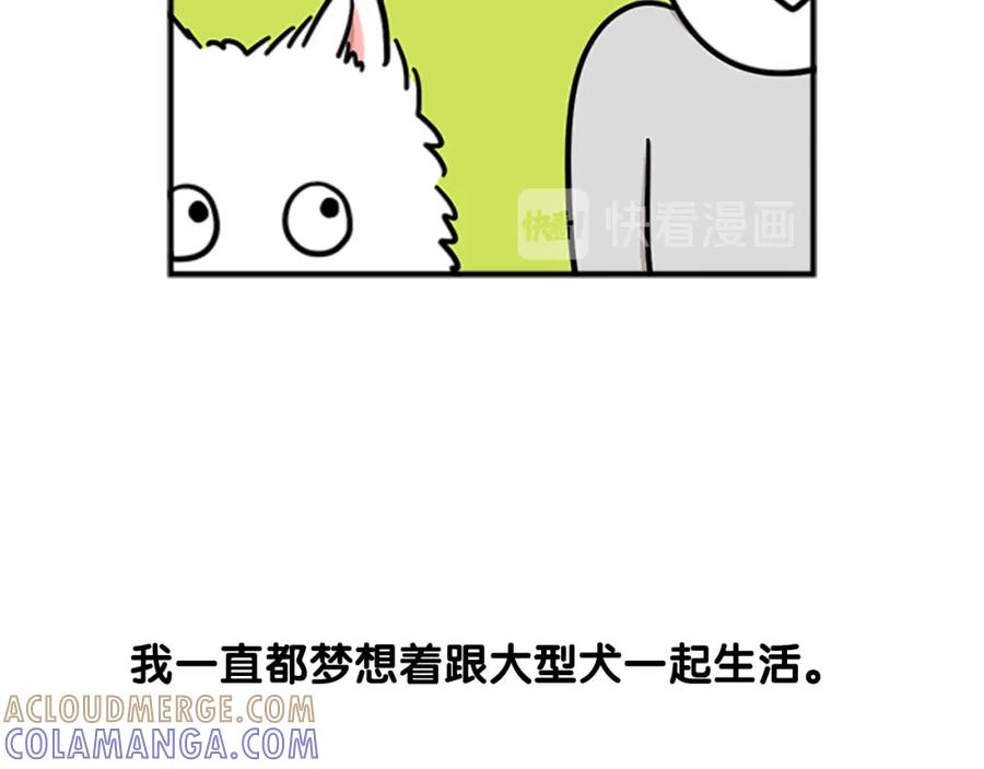 序章我有一只萨摩耶-我的狗子叫棉花-milo+Polarfox（第2张）