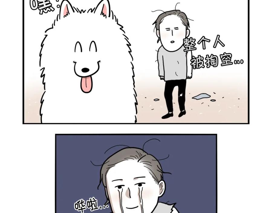 序章我有一只萨摩耶-我的狗子叫棉花-milo+Polarfox（第11张）