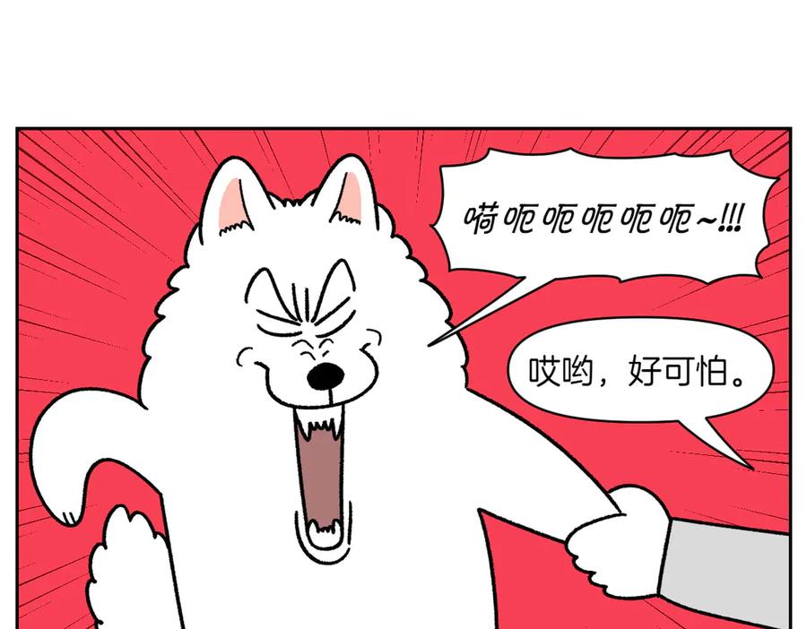 第47话把狗狗引到浴室-我的狗子叫棉花-milo+Polarfox（第11张）