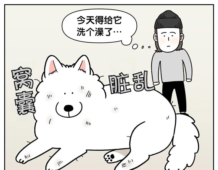 第47话把狗狗引到浴室-我的狗子叫棉花-milo+Polarfox（第4张）