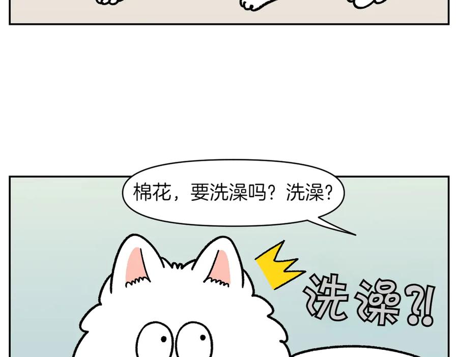 第47话把狗狗引到浴室-我的狗子叫棉花-milo+Polarfox（第5张）