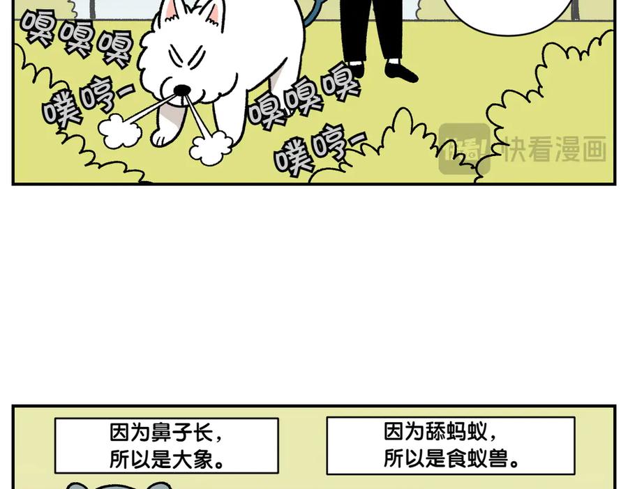 第59话狗狗拉屎大王-我的狗子叫棉花-milo+Polarfox（第10张）