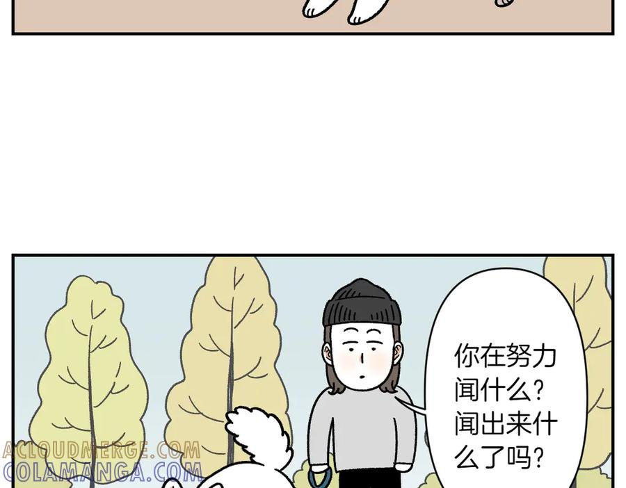 第59话狗狗拉屎大王-我的狗子叫棉花-milo+Polarfox（第9张）