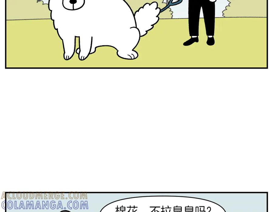 第59话狗狗拉屎大王-我的狗子叫棉花-milo+Polarfox（第6张）