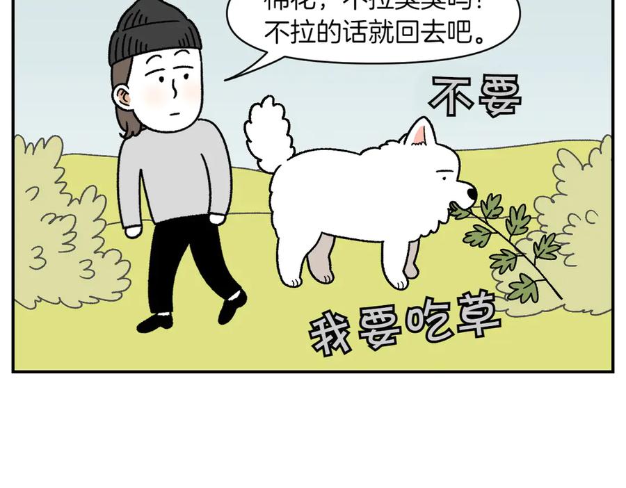 第59话狗狗拉屎大王-我的狗子叫棉花-milo+Polarfox（第7张）
