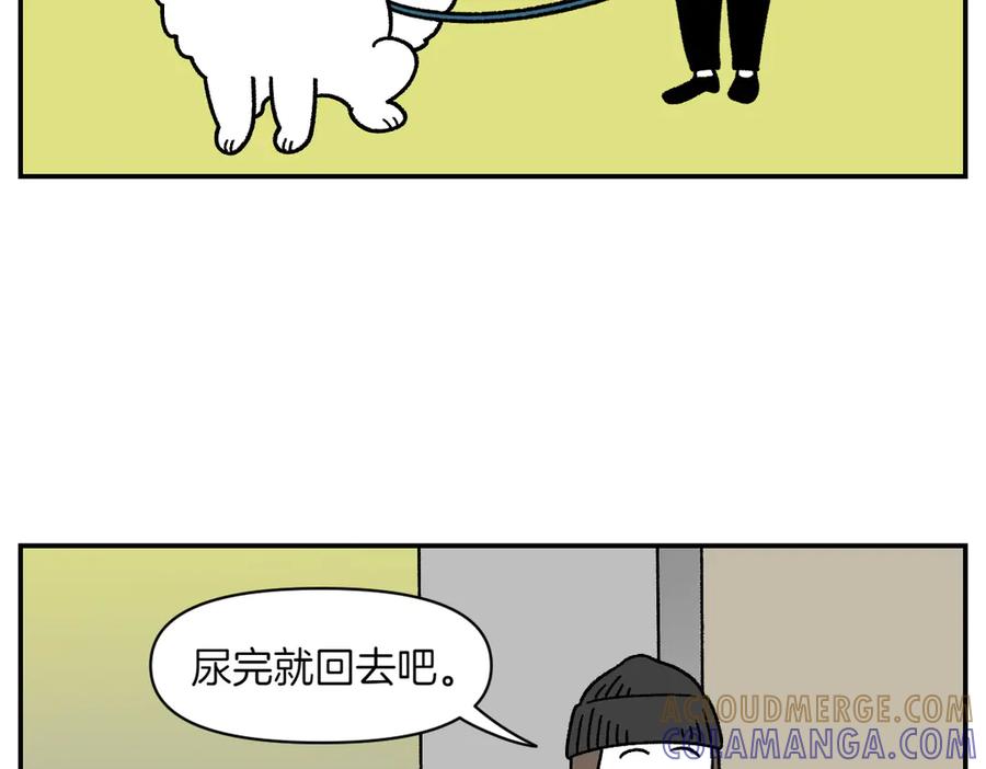 第61话台阶和狗-我的狗子叫棉花-milo+Polarfox（第9张）