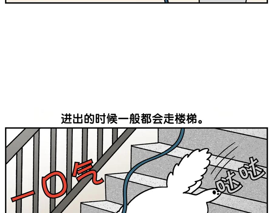 第61话台阶和狗-我的狗子叫棉花-milo+Polarfox（第5张）