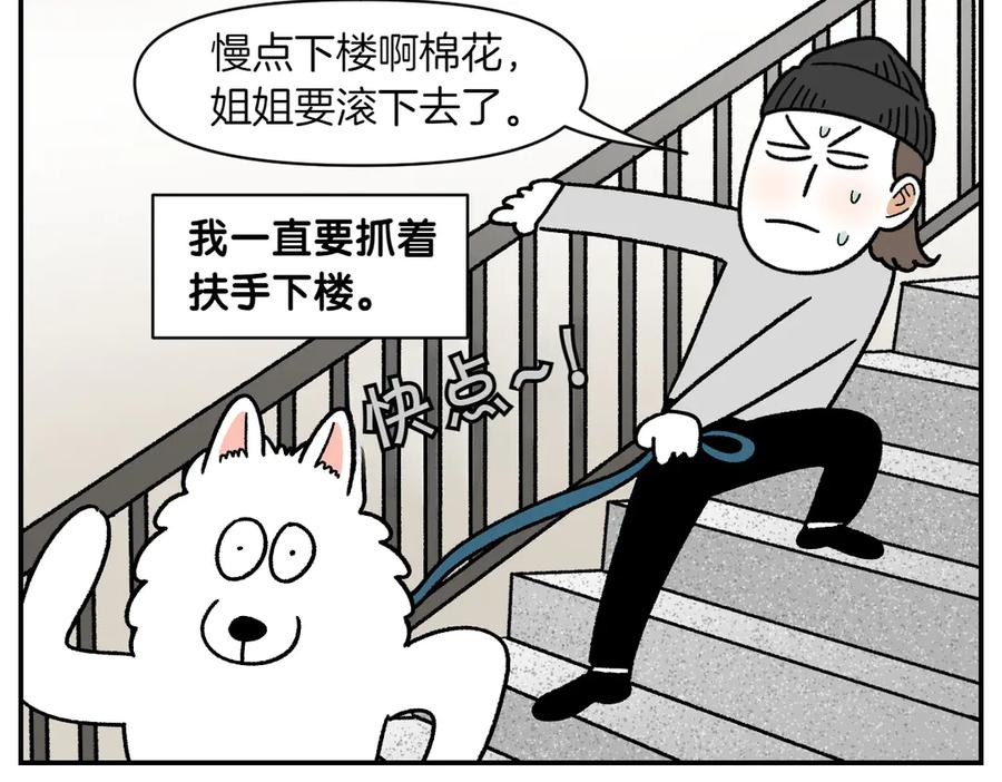 第61话台阶和狗-我的狗子叫棉花-milo+Polarfox（第7张）