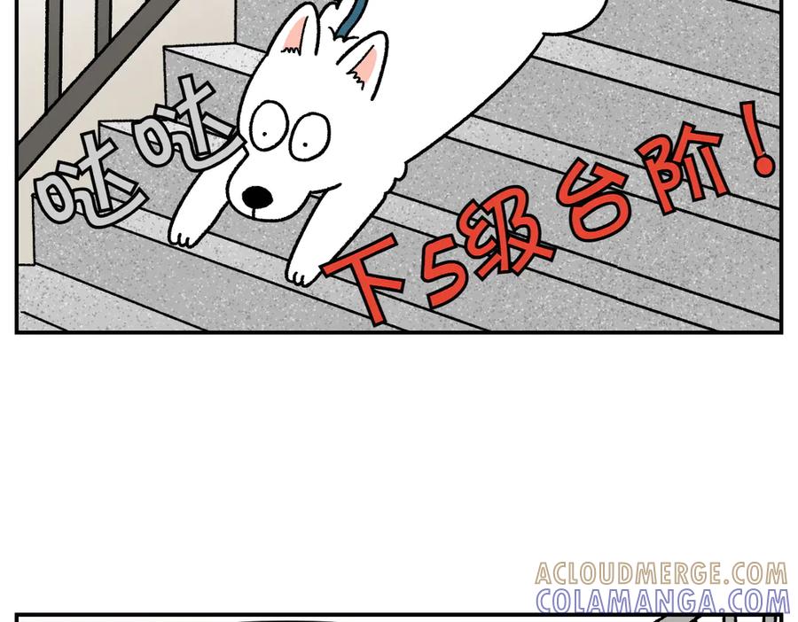 第61话台阶和狗-我的狗子叫棉花-milo+Polarfox（第6张）