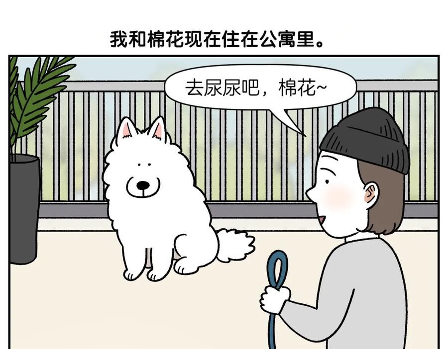第61话台阶和狗-我的狗子叫棉花-milo+Polarfox（第4张）