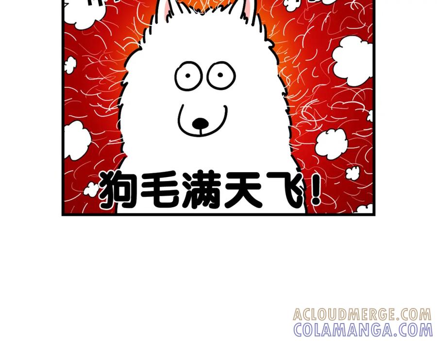 第1话掉毛大王-我的狗子叫棉花-milo+Polarfox（第6张）